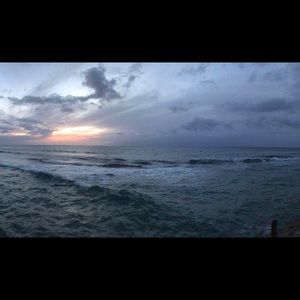 Meet your Posher, Paige